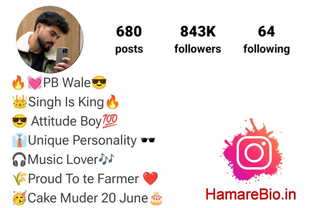 Instagram Bio in Punjabi For Boys