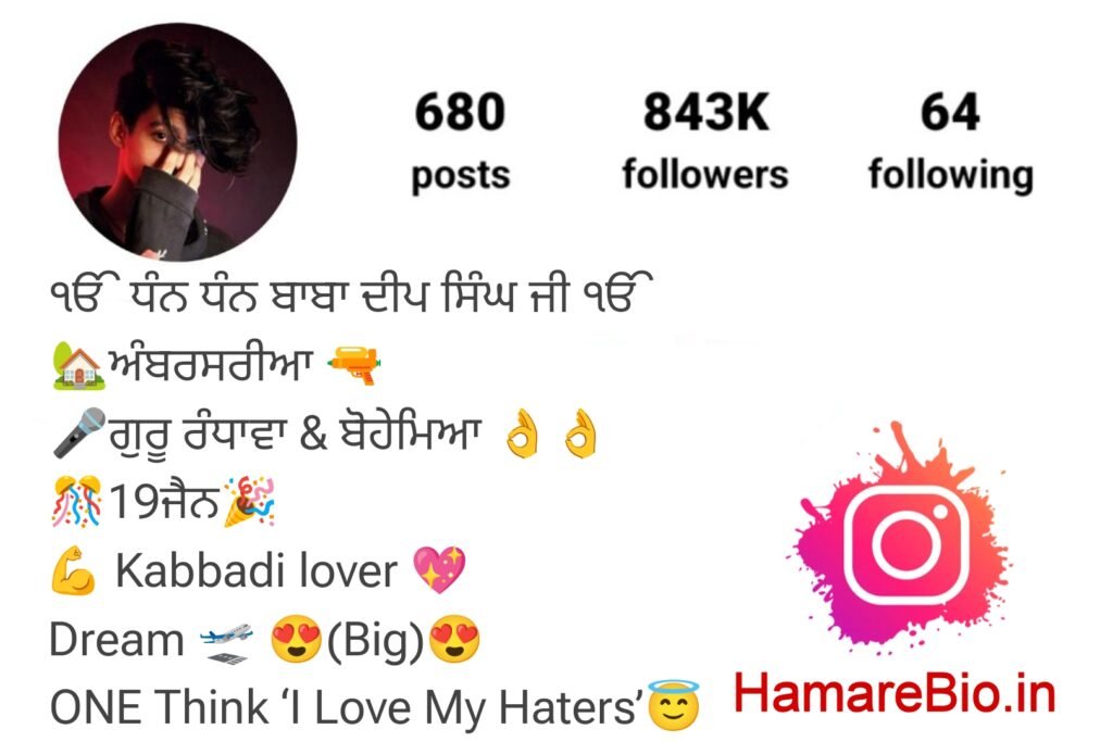 Instagram bio punjabi