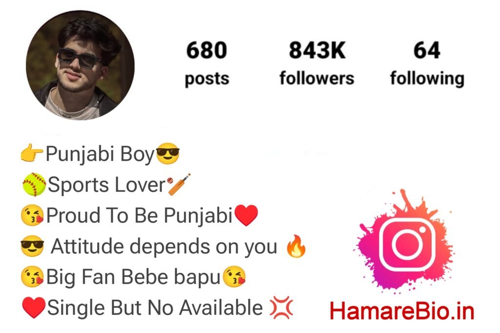 Stylish Punjabi Instagram Bio